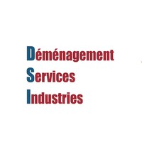 DEMENAGEMENT SERVICES INDUSTRIES logo - Similar company to Demsoft Software