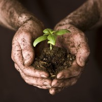 Gardeners not Mechanics