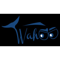 WAHOO Group Sdn Bhd logo - Similar company to Sportswork Group