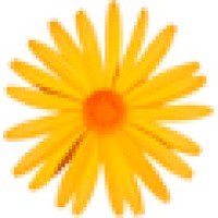 Circle Media
