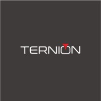 Ternion Solution logo - Similar company to Digi Trestle