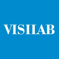 Visilab logo - Similar company to Visilabgroup