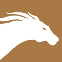 Flying Horse Worldwide logo - Similar company to Execustar