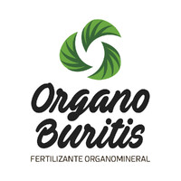 Grupo Organo Buritis logo - Similar company to Selectin It Recruiters