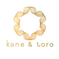 Kane & Toro Logistics logo - Similar company to Logi