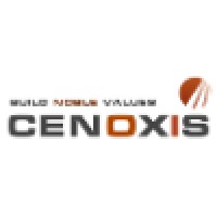 Cenoxis Infotech logo - Similar company to Tecfortify