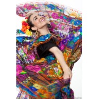 Calpulli Mexican Dance Company, Inc. logo - Similar company to Dance Teachers Network