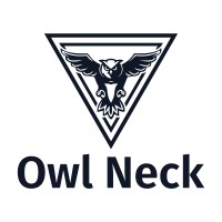 Owlneck Consulting Services logo - Similar company to Applogic Consulting