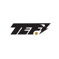 TEF1 logo - Similar company to Kmwave Inc.