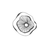 Sensagio Arquitectas logo - Similar company to Lean Supply