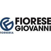 FIORESE GIOVANNI SRL logo - Similar company to Barichello S.R.L.