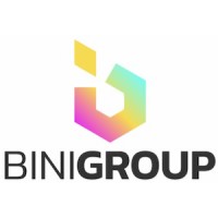 Bini Group logo - Similar company to Mapanda