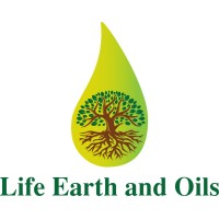 White Oak Capital Strategies, Llc