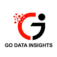 Go Data Insights logo - Similar company to virtualservedotin