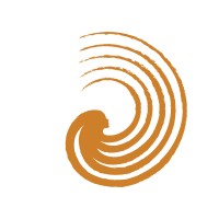 Dhriiti - The Courage Within logo - Similar company to Towards Future