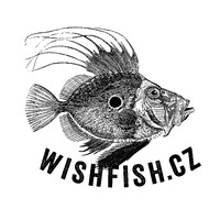 Wishfish logo - Similar company to Wishfinity
