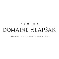 Domaine Slapšak logo - Similar company to The Arcs Group