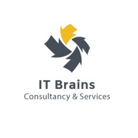 IT Brains logo - Similar company to Alture Group