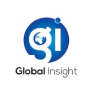 Global Insight Reports logo - Similar company to Back Office Admins
