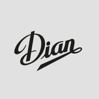 Dian | Calzado de trabajo logo - Similar company to Customer Magnet