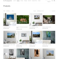 NL Photographie logo - Similar company to Wings Art Gallery