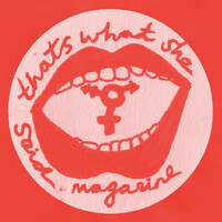 That's What She Said Magazine logo - Similar company to Dogeatcog