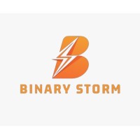 Binary Storm Technologies LLP logo - Similar company to Harmis Technology