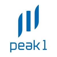peak 1 logo - Similar company to Commend Cee Group