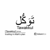 Tawakkul logo - Similar company to Mango Auctions