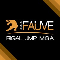 Groupe Fauve logo - Similar company to Sppv Societe Phoceenne De Peintures Vernis