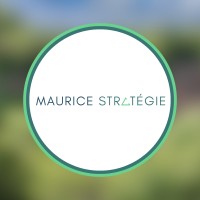Maurice Stratégie logo - Similar company to Institute For Policy Studies - Mauritius Forward