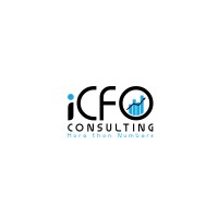 iCFO Consulting Inc logo - Similar company to Omnes Advisors