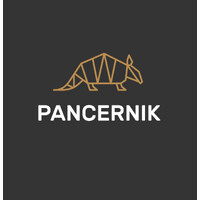 Pancernik.eu logo - Similar company to Pancernik It