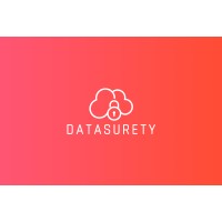 Datasurety logo - Similar company to Kogneos