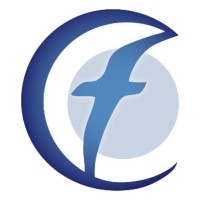 CFO For Hire