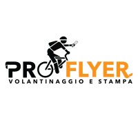 PRO FLYER S.r.l.s. logo - Similar company to Stp Engineering Srl
