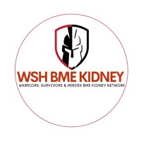 WSH BME Kidney Network logo - Similar company to Created By Ten.