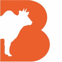 Bigdelivery logo - Similar company to Avantsoft