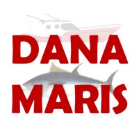Dana Maris LLC logo - Similar company to Hlb Ca Group Chartered Accountants