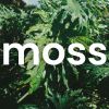 Moss Media logo - Similar company to Digital Click 360