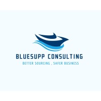 Bluesupp consulting logo - Similar company to Students4All.Com