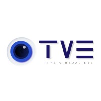 The Virtual Eye logo - Similar company to Mitambi Solutions