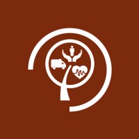 PTMedical - Serviços de Saúde logo - Similar company to 4Arca