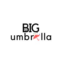 BIG umbrella logo - Similar company to The Big Umbrella Foundation
