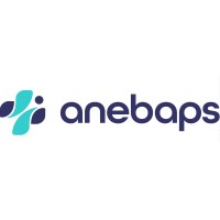 Anebaps logo - Similar company to Stone Job Solutions Facilitys