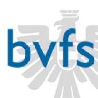 BVFS logo - Similar company to Venturepole