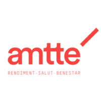 Amtté logo - Similar company to Osona Consulting, S.L.P.