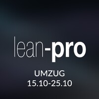 Lean Pro GmbH & Co. KG logo - Similar company to Pixelgold