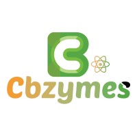 Cbzymes logo - Similar company to Cb Cloud Consulting | Salesforce Consulting Partner