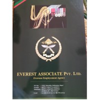 Everest Associate PVT Ltd logo - Similar company to Lahej & Sultan